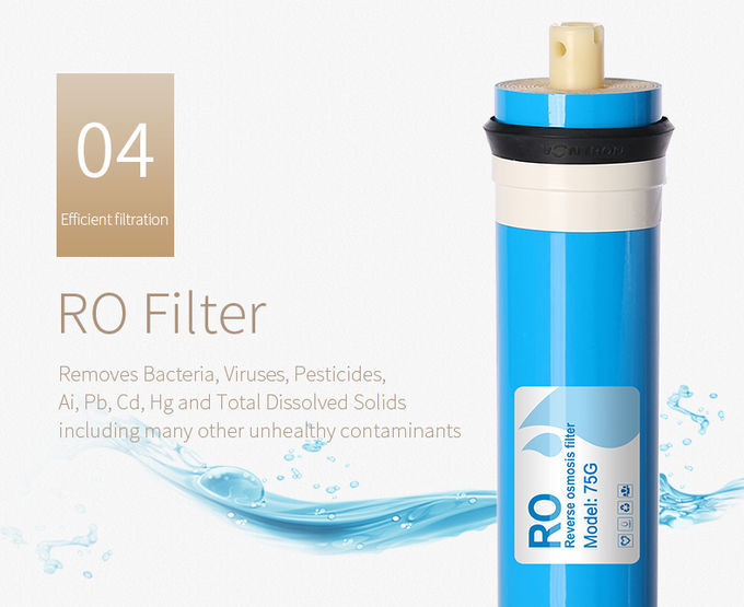 Kinerja luar biasa sistem pemurnian air Reverse Osmosis WellBlue